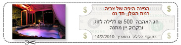 הפינה היפה של צביה