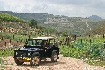 החאן של גץ