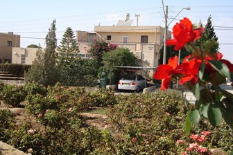 צימר בית אילנה , צימר בים המלח