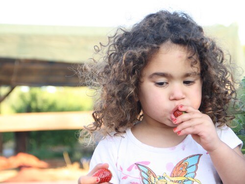 קטיף עצמי אודם