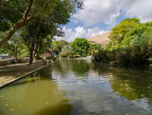 מופע תוכים - חמת גדר
