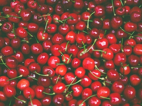 הבוסתן של מוטי