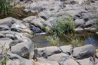 אל מפל הזויתן