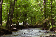 בית גימאל - נחל ירמות