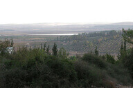 בן שמן והסביבה