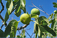 המקום שבו ההיסטוריה מדברת