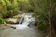 נחל גלבון (קצר) ונחל דבורה