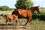 פינות לא מוכרות ברכס נפתלי