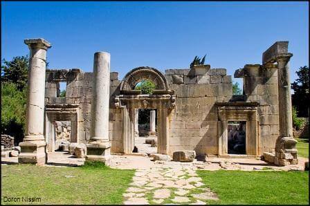 טיול בשמורת יער ברעם