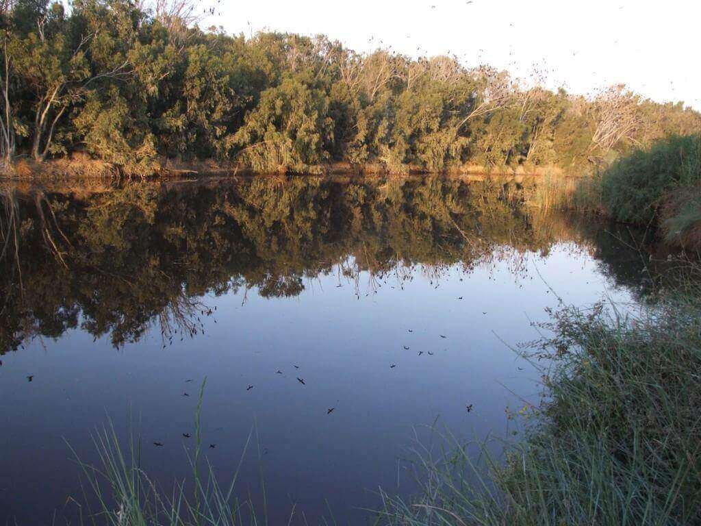 שפך נחל שורק