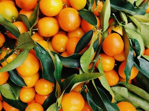 שביל התפוזים