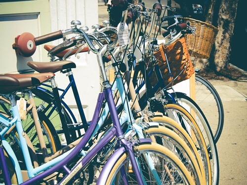 סוף הדרך - טיולי ג'יפים