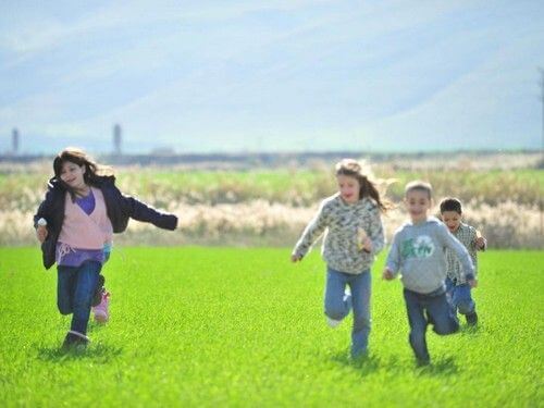 פארק המעיינות