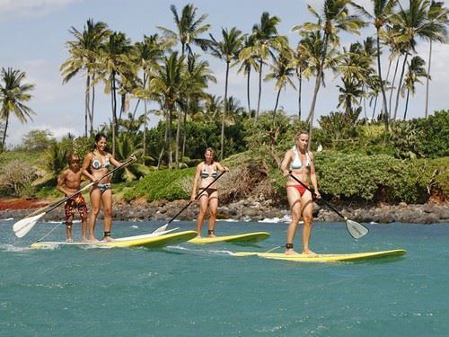 surf house-סרפ האוס