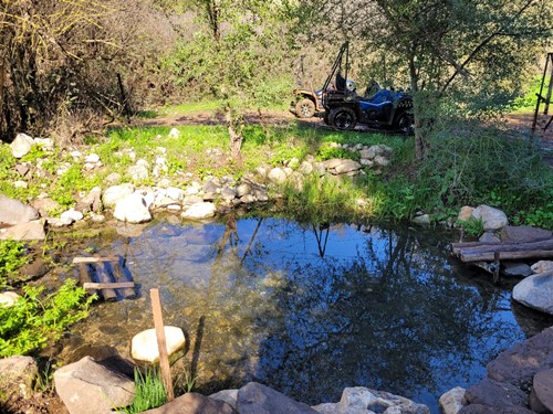 טרקטורוני כלנית