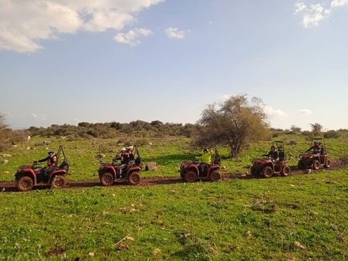 טרקטורוני כלנית