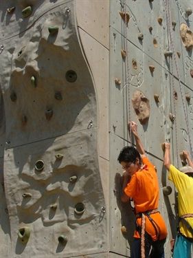 אטרקציות כפר בלום