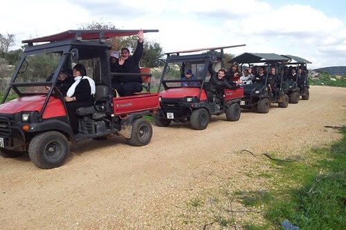 חוות מונפורטויטו