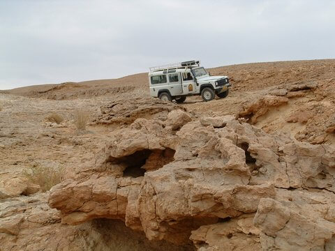עמוס אבירן טיולי ג'יפים
