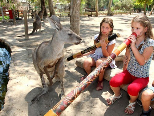 גן גורו ניר דוד
