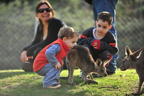 גן גורו ניר דוד