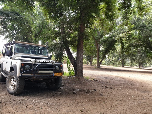 מישל טיולי ג'יפים