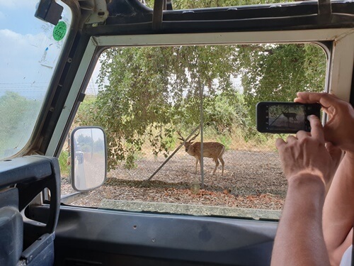 מישל טיולי ג'יפים