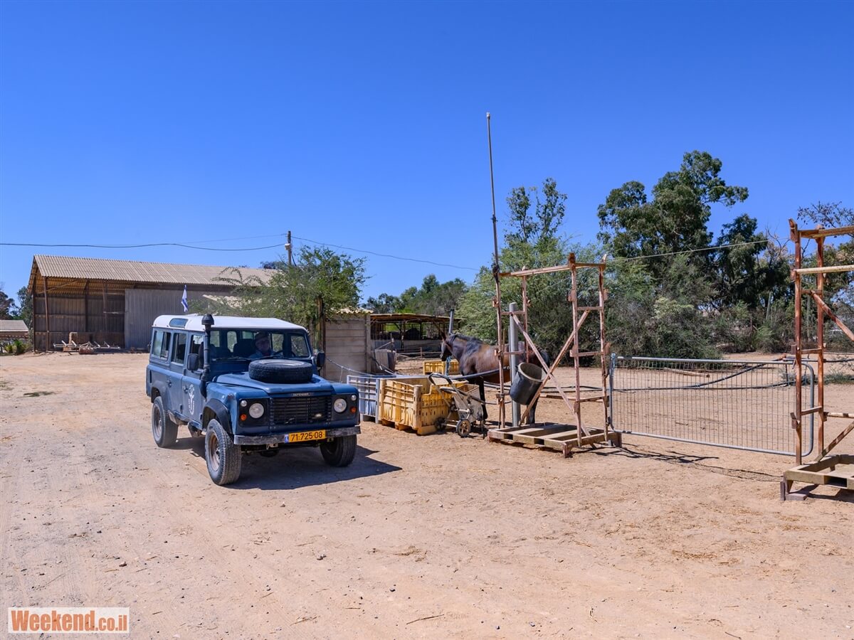 מן המדבר טיולי ג'יפים