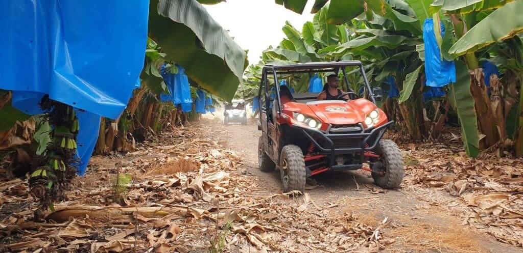 ריינג'רים חוף האון