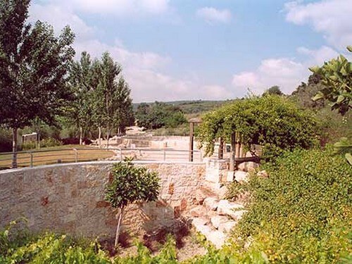 מי קדם - פארק אלונה