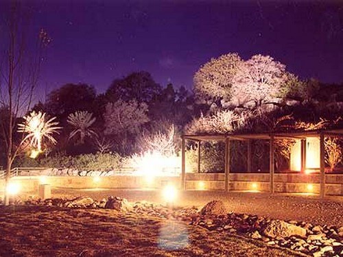 מי קדם - פארק אלונה