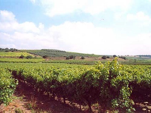 מי קדם - פארק אלונה