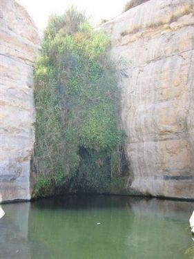 אדם סלע - חוויה אתגרית