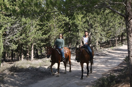 רוכבים בגליל