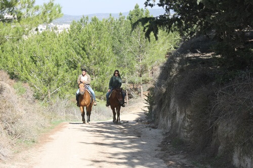 רוכבים בגליל