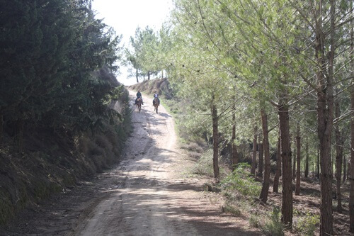 רוכבים בגליל