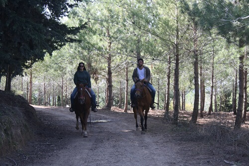 רוכבים בגליל
