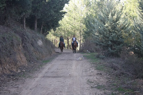 רוכבים בגליל