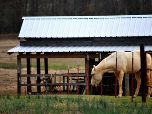 רוכבים בגליל