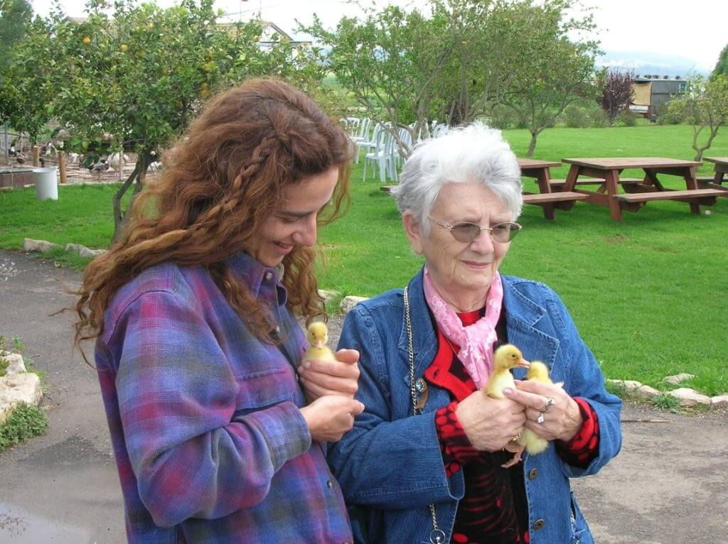 ברווזים בכפר