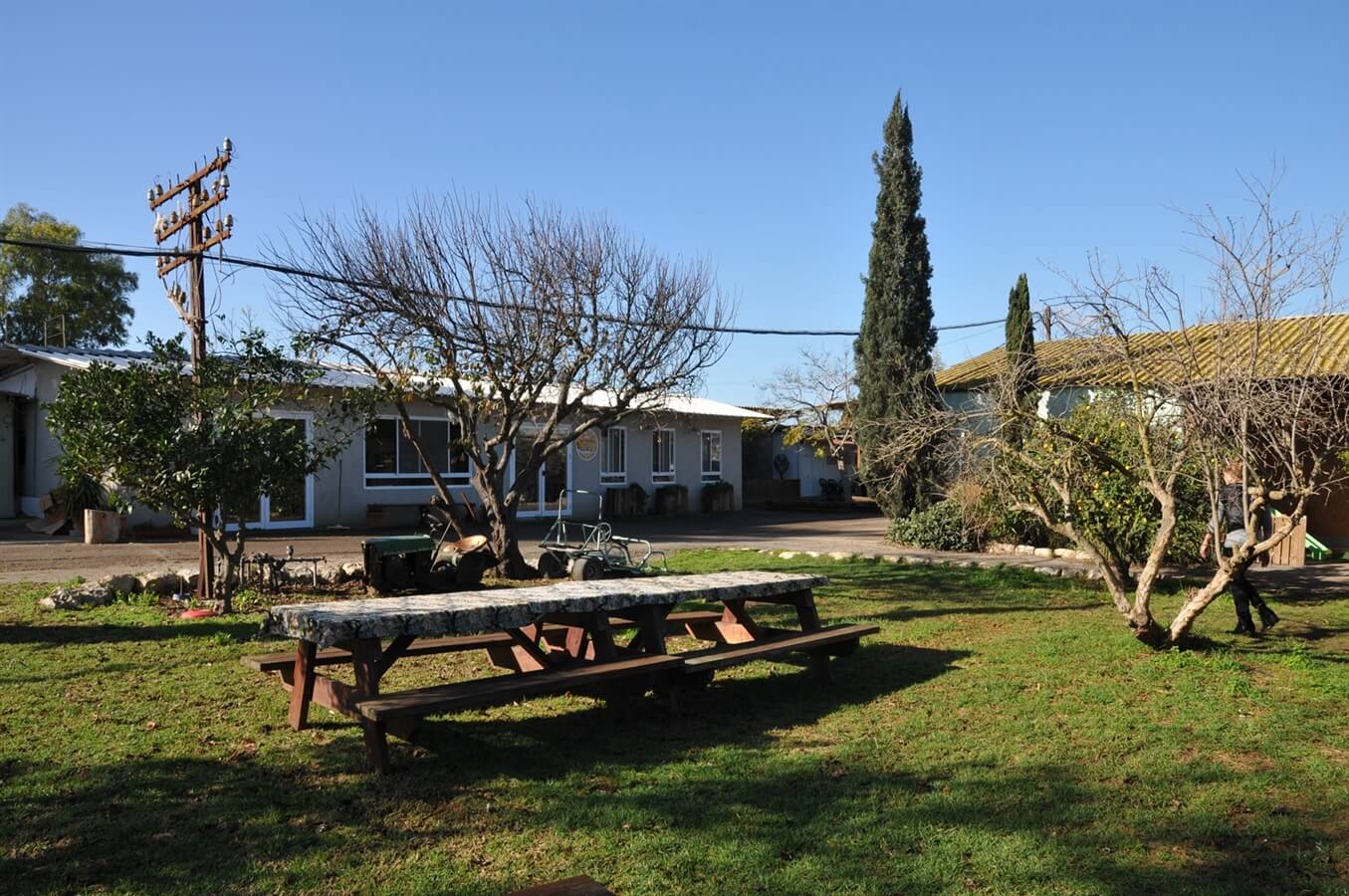 ברווזים בכפר