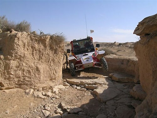 האופק המנחה