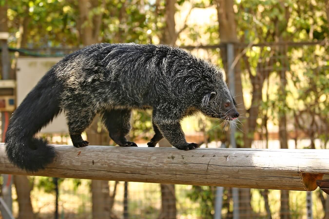 חי פארק קרית מוצקין