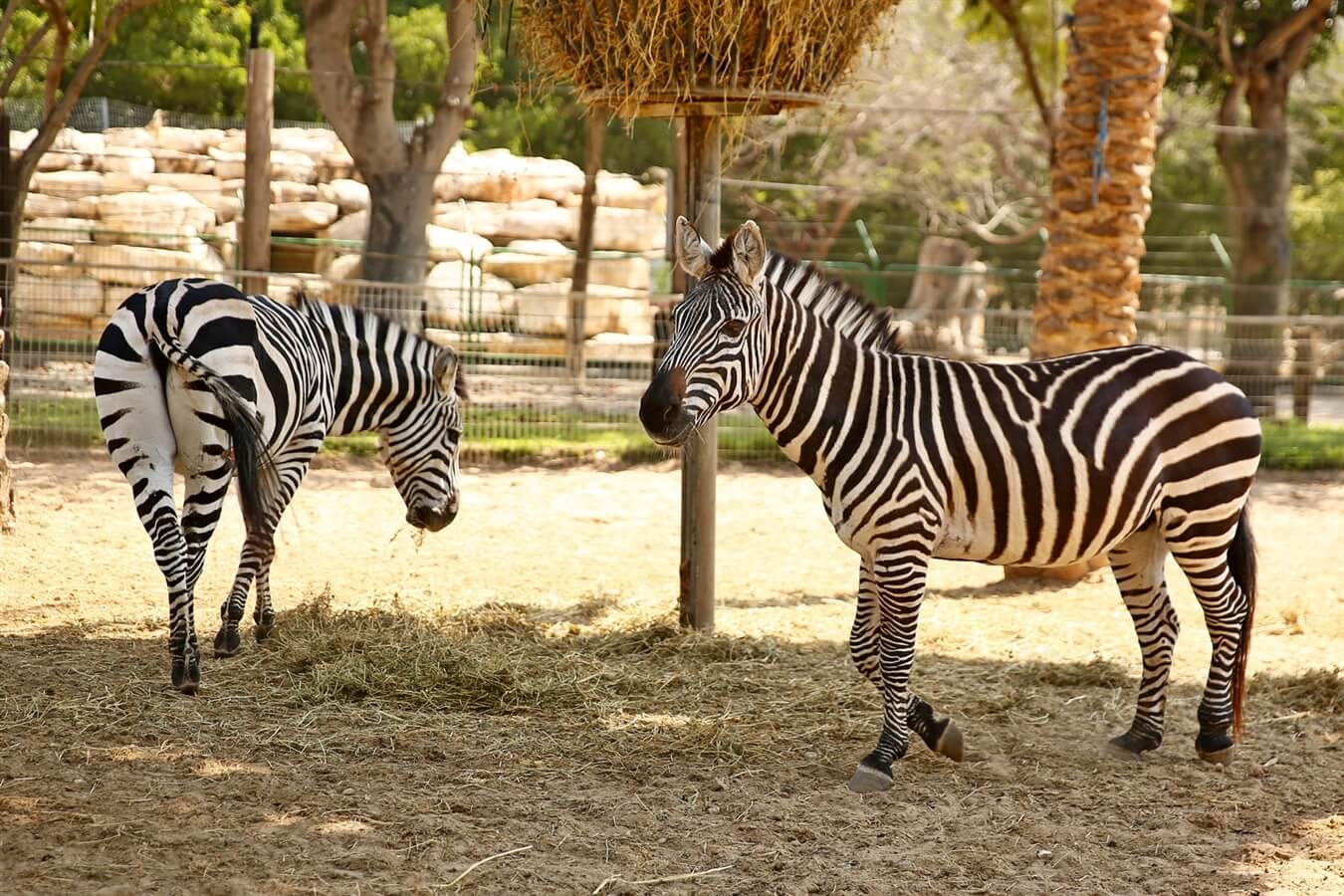 חי פארק קרית מוצקין