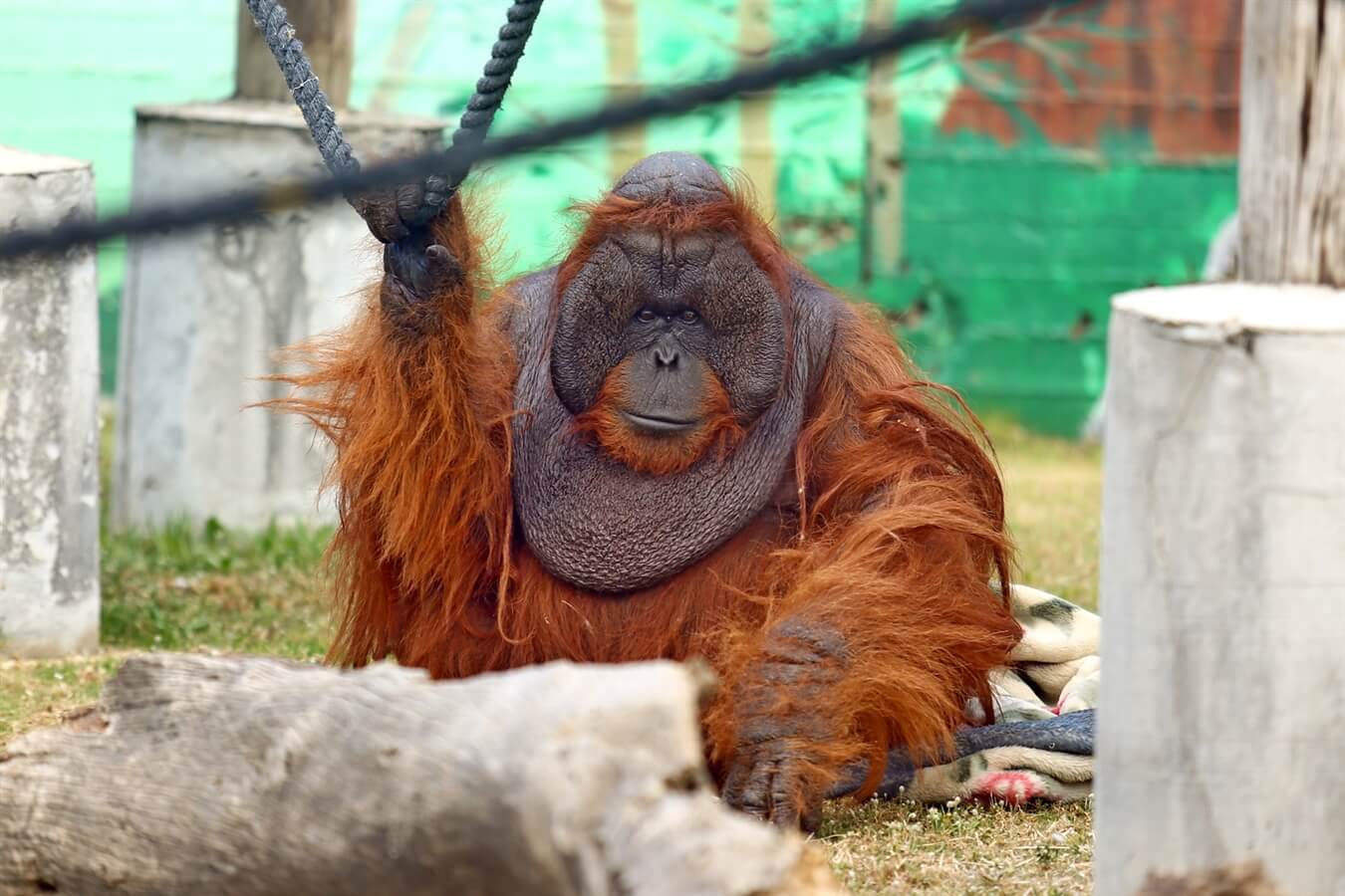 חי פארק קרית מוצקין