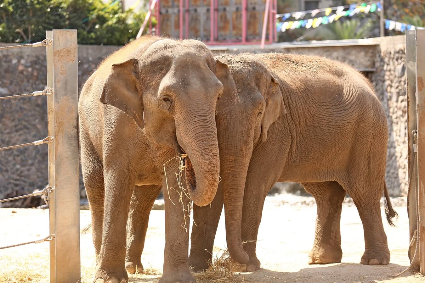חי פארק קרית מוצקין