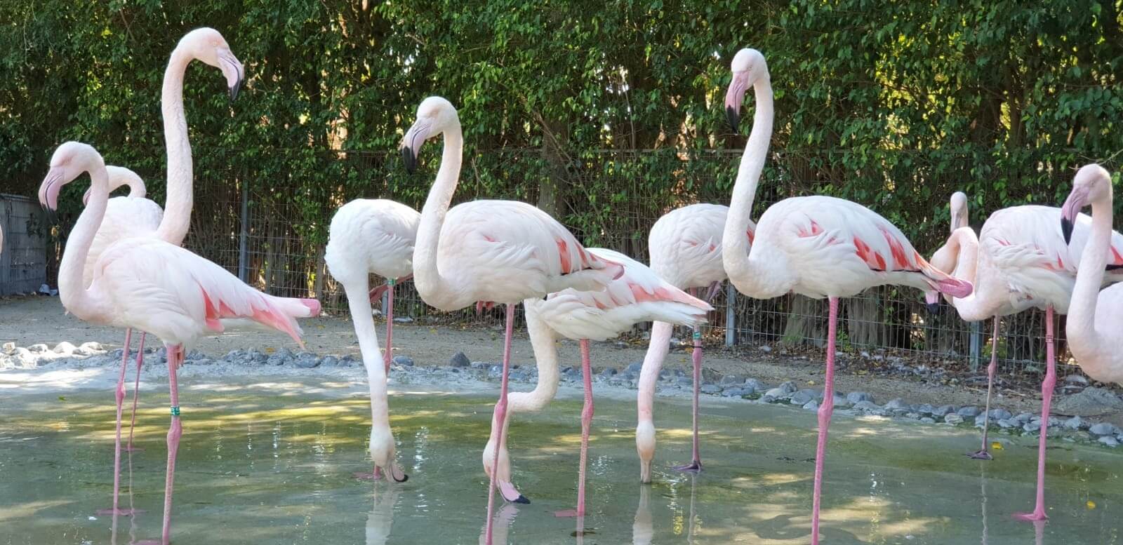 חי פארק קרית מוצקין