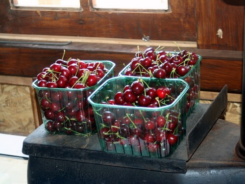 קטיף עצמי אודם