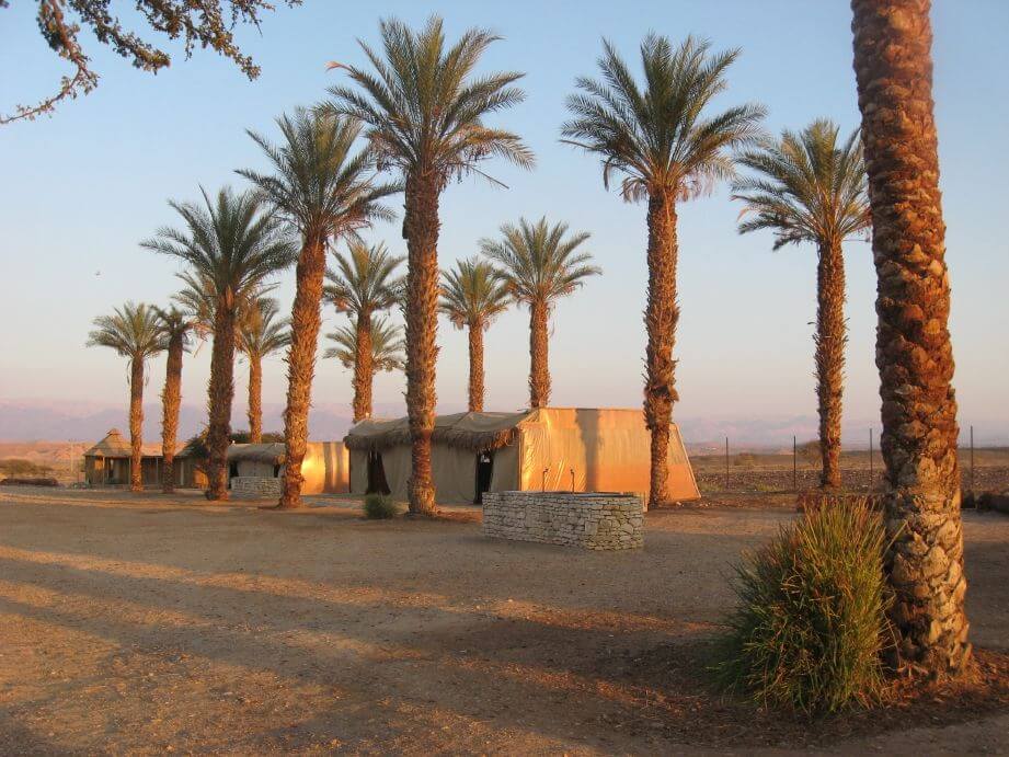 חוות האנטילופות