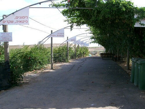 מרכז מבקרים - 